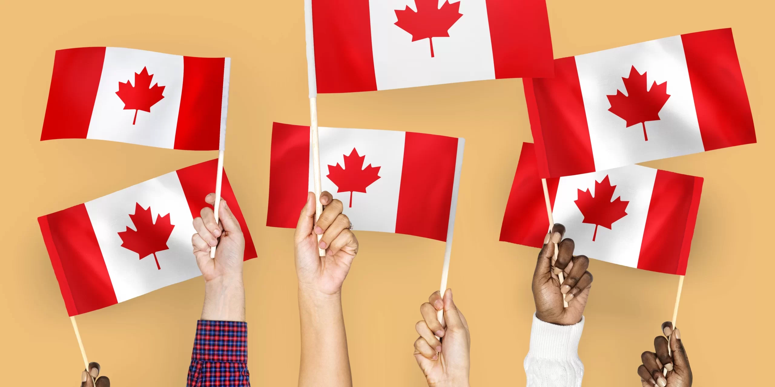how to apply Canada Digital Adoption Program (CDAP)
