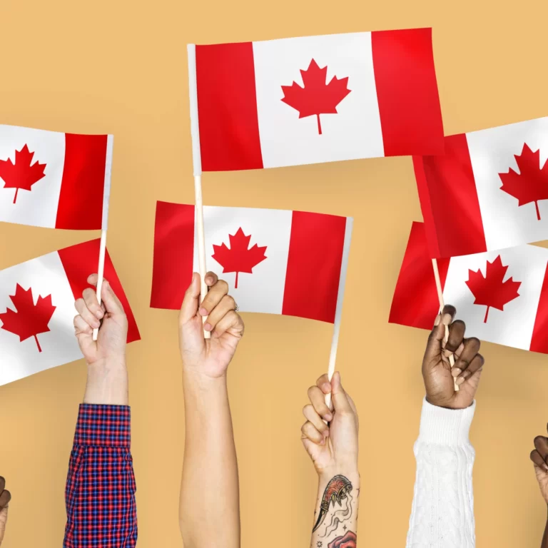 how to apply Canada Digital Adoption Program (CDAP)